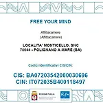 Free Your Mind - Gianluca 度假居 滨海波利尼亚诺